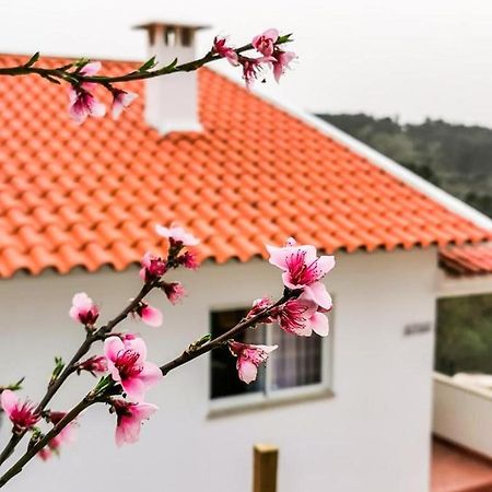 O Refugio Villa Coimbra Exteriör bild