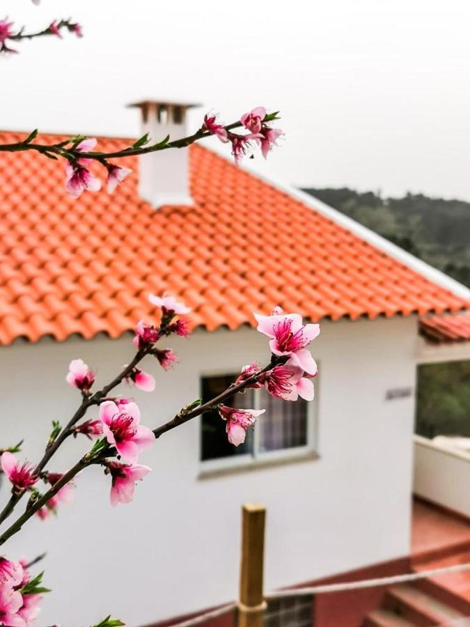 O Refugio Villa Coimbra Exteriör bild